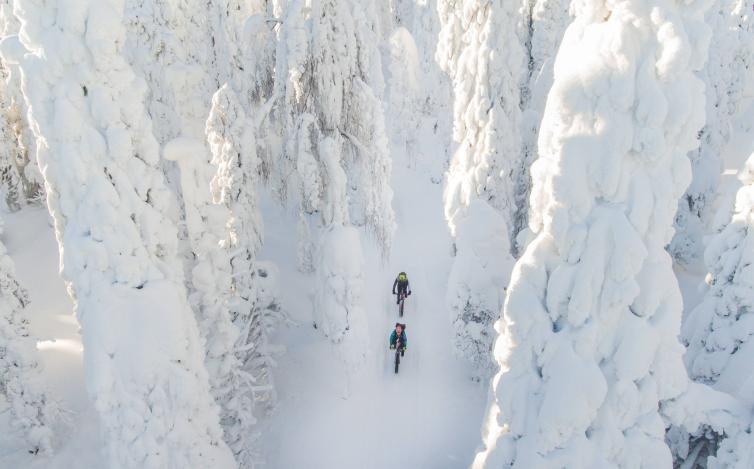 Maastopyöräilijöitä Lapin talvimaisemassa