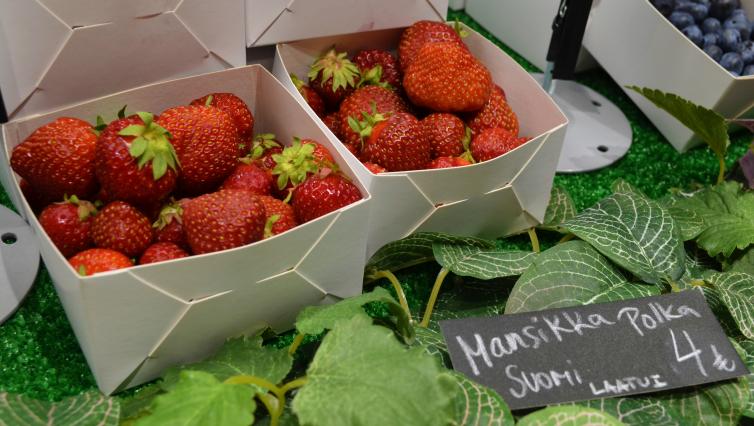 Vilberry strawberries Photo Stana Porvali