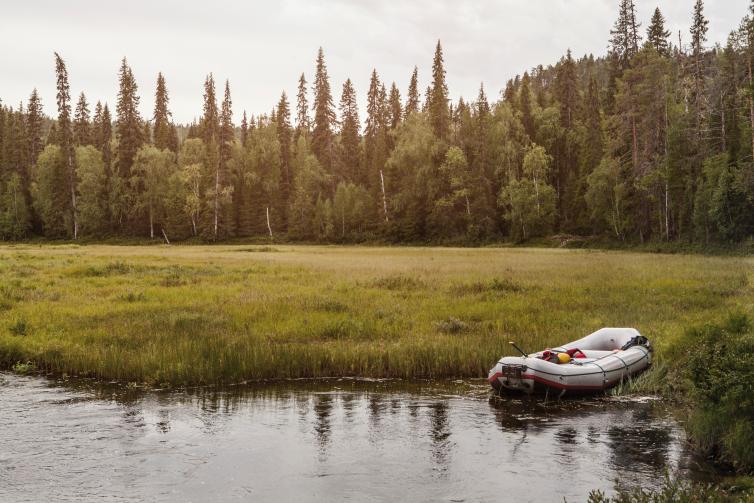 Kitkajoki Kuusamon alueella tarjoaa paljon aktiviteetteja. 