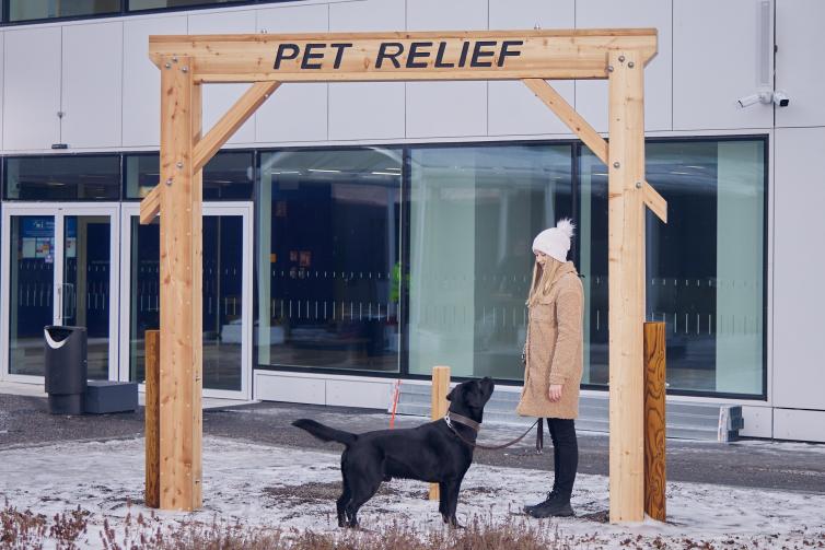 Koira Helsinki-Vantaan lentoaseman uudessa lemmikkikäymälässä.