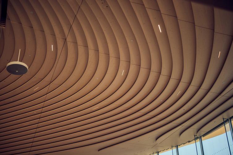 wooden ceiling