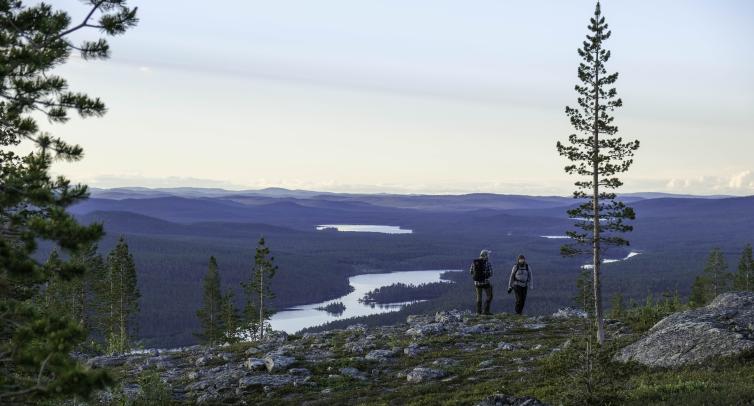 Kesäinen tunturimaisema Ivalossa