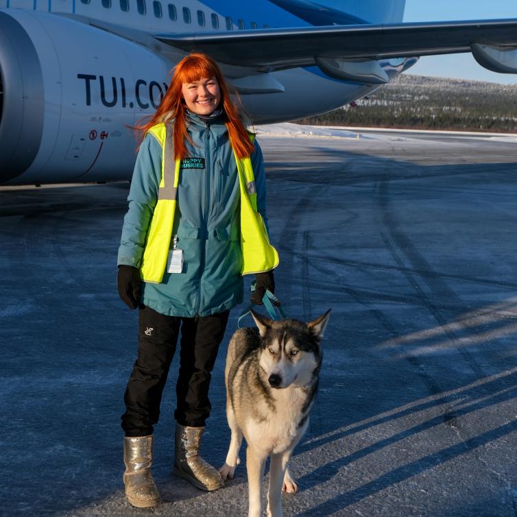 Husky-koira ja taluttaja Ivalon lentoasemalla