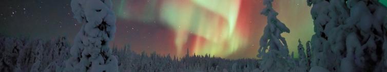 Northern Lights above a wintery landscape