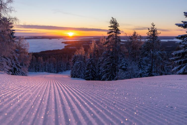 Kuvituskuva Vuokatin rinteistä