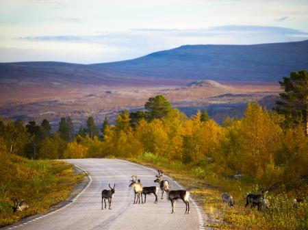 Visit Finland Lappi