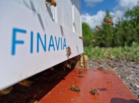 Mehiläispesä Helsinki-Vantaalla