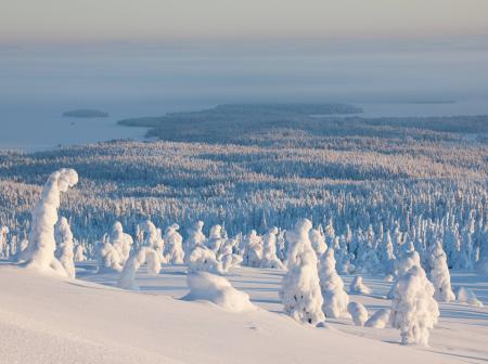 Lapin maisema Visit Finland