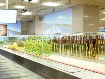 A luggage on baggage belt at Helsinki airport 2B baggage claim.