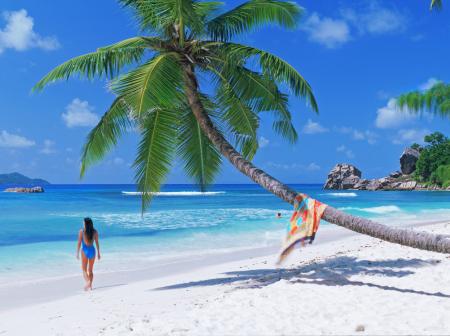 Palmuinen aurinkoranta