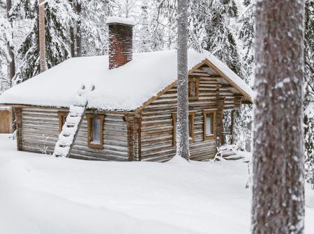 Cottage in forest during winter.