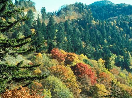 National park in fall colors.