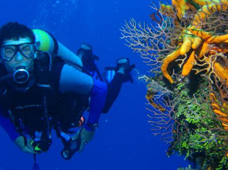 A scuba diver underwater.