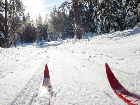 Latu lumisessa metsässä.