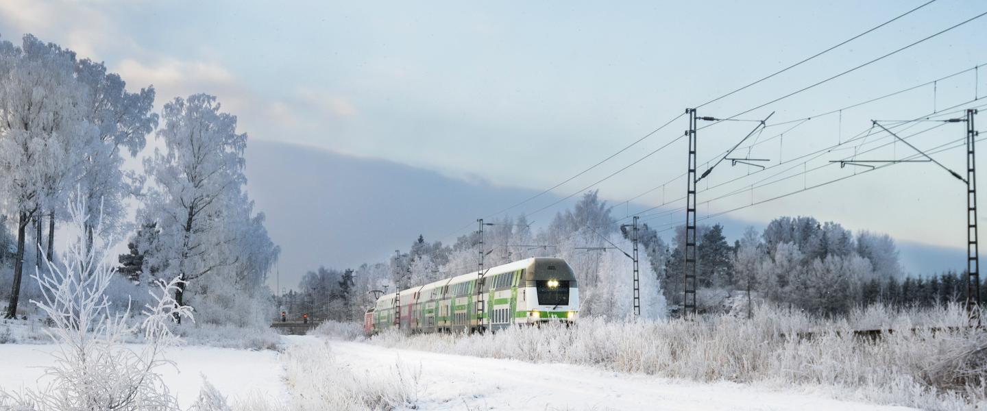 Train in boreal landscape.