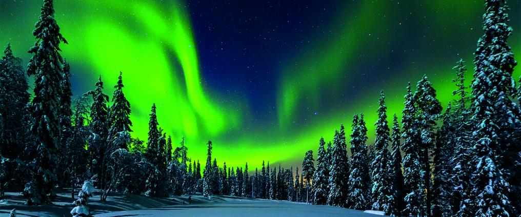 Picture of Lapland Northern Lights in Ivalo