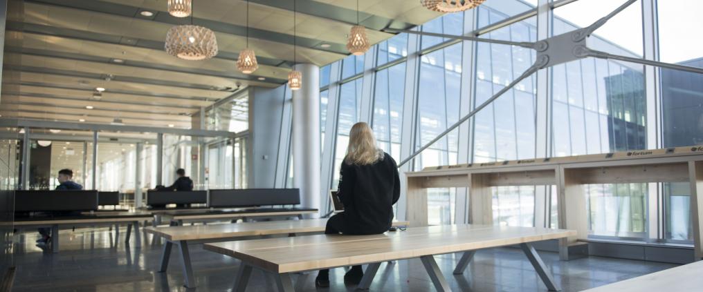 Yksittäinen matkustaja istuu penkillä valoisassa terminaalissa