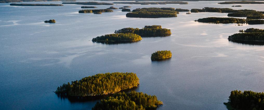 Ilmakuva järvimaisemasta