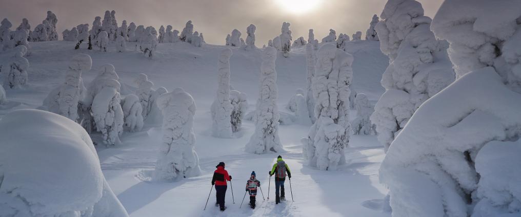 Metsäretkellä Kuusamon lähistön lumisissa maisemissa. 