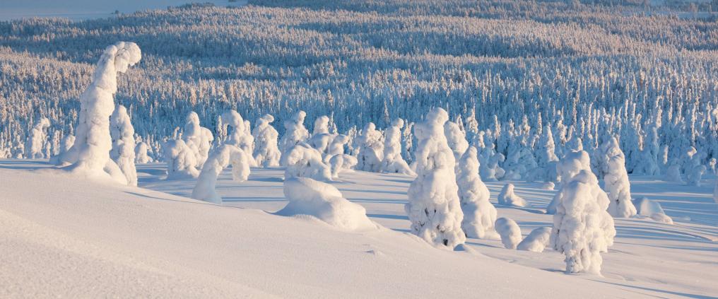 Lapin maisema Visit Finland