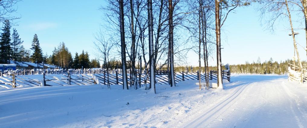 Ski trail in a beautiful winter scenery.