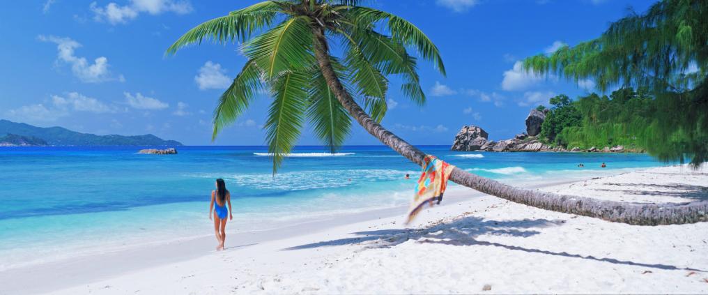 Palmuinen aurinkoranta