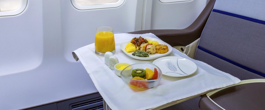 Food on a tray in airplane cabin.