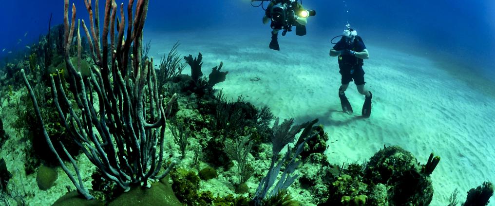 Two divers underwater.