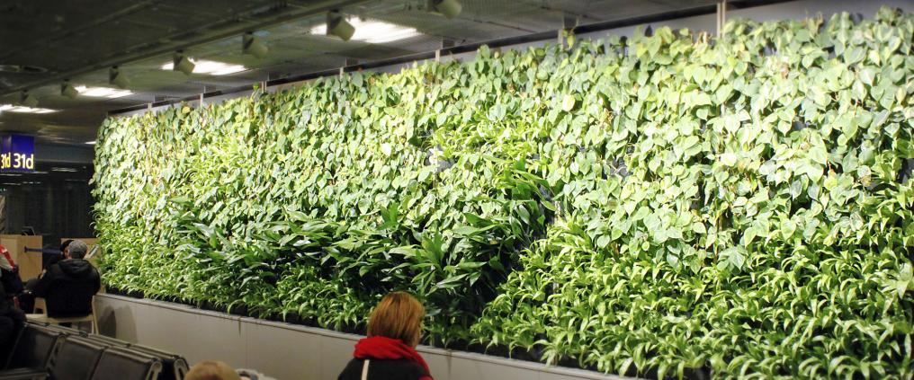 Vertical garden at Helsinki Airport.