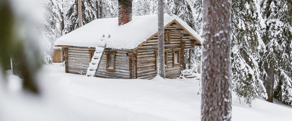 Cottage in forest during winter.