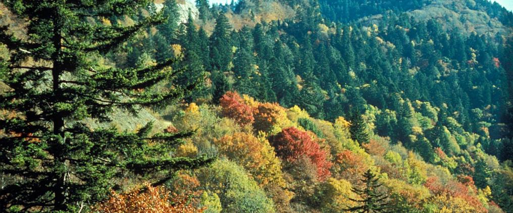 Kansallispuisto syksyn väreissä.