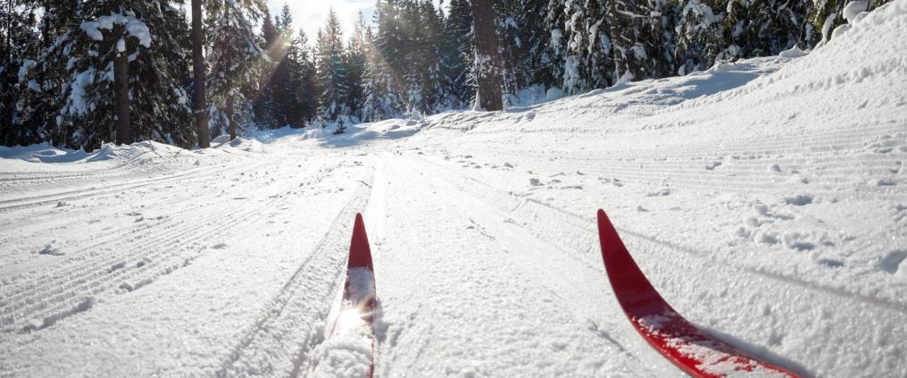 Sky trail in a snowy forest.