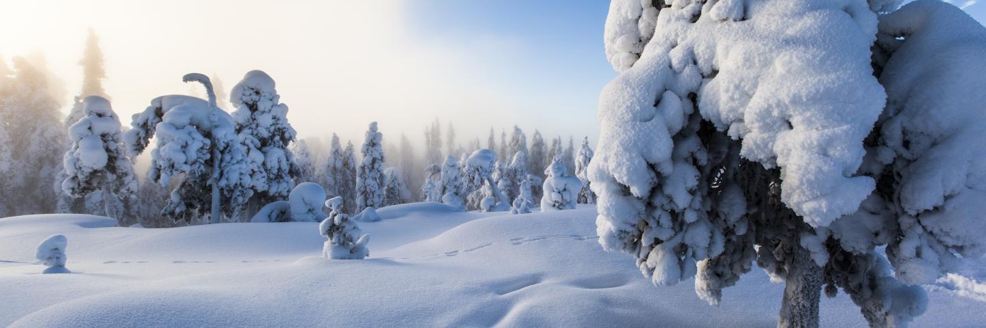 Talvimaisema Rovaniemeltä 