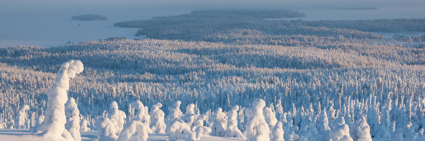 Lapin maisema Visit Finland
