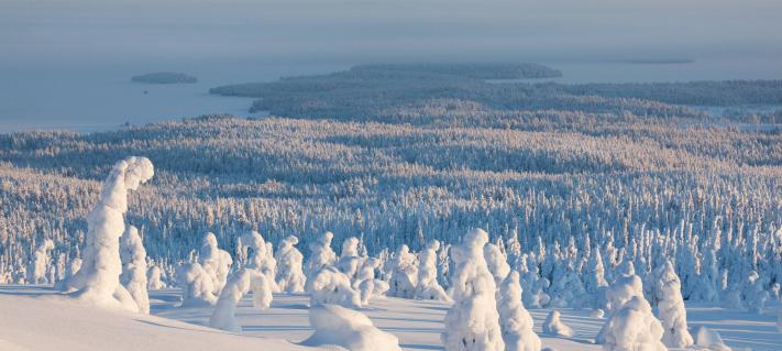 Lapin maisema Visit Finland